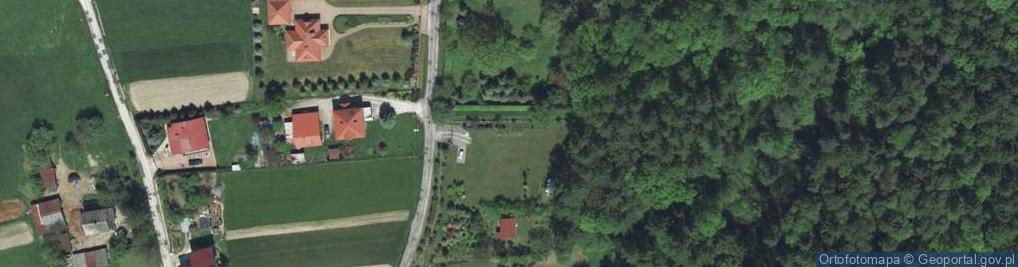 Zdjęcie satelitarne Willowa ul.