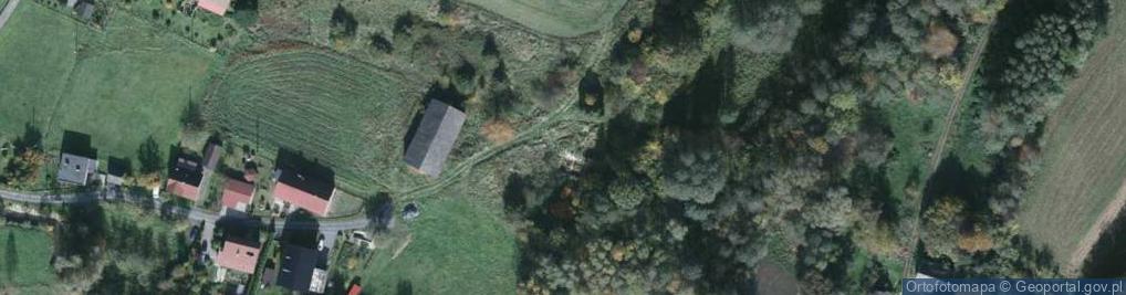 Zdjęcie satelitarne Wierzbowa ul.