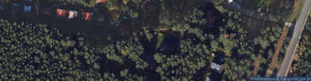Zdjęcie satelitarne Wierzbowa ul.
