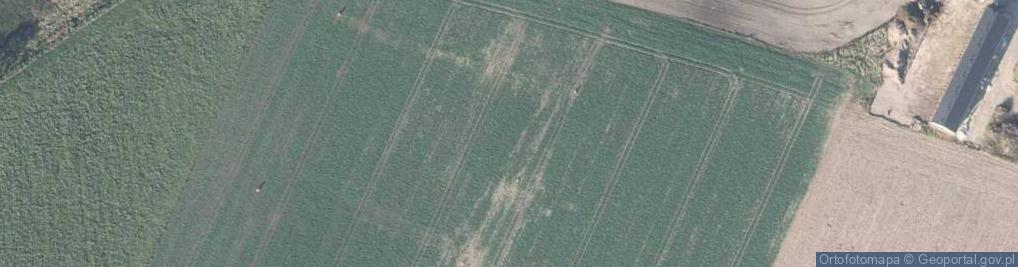 Zdjęcie satelitarne Wiosenna ul.