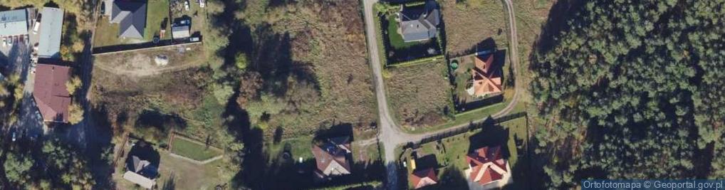 Zdjęcie satelitarne Wierzbowa ul.