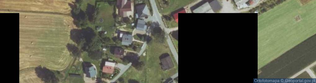 Zdjęcie satelitarne Wilcza ul.