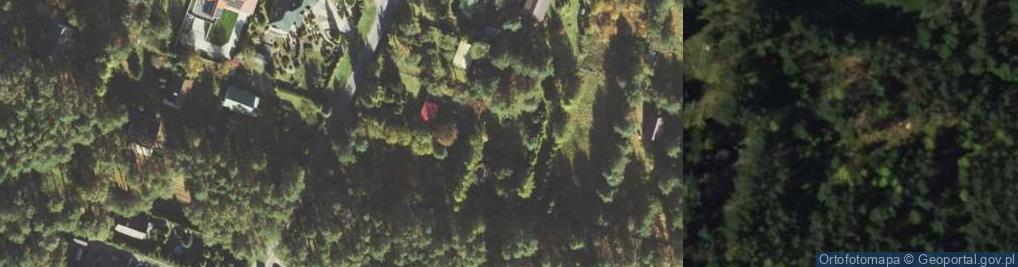 Zdjęcie satelitarne Wierzbowa ul.