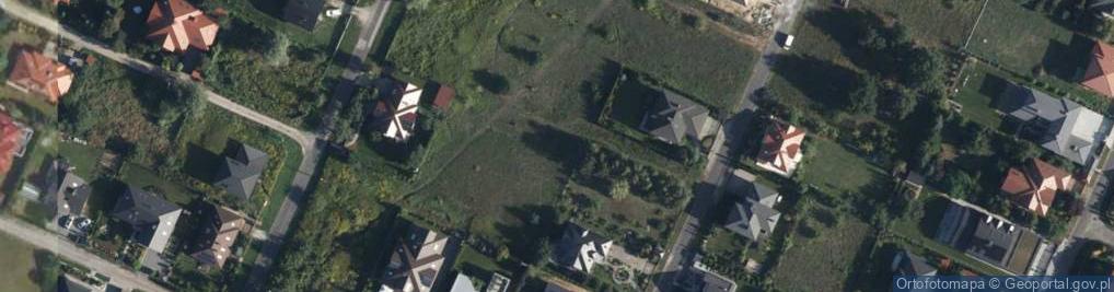 Zdjęcie satelitarne Wierzbowa ul.