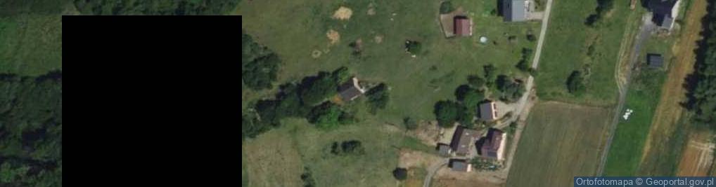 Zdjęcie satelitarne Wierzniowicka ul.