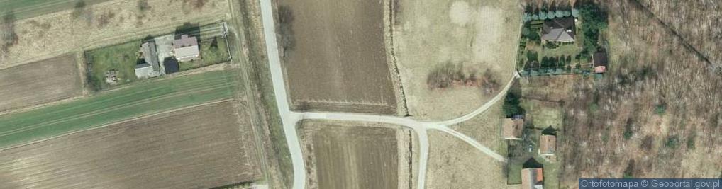 Zdjęcie satelitarne Witosa Wincentego ul.