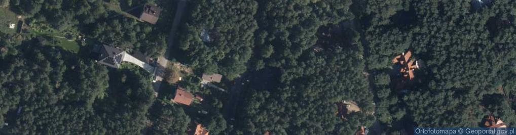Zdjęcie satelitarne Wierzbowa ul.
