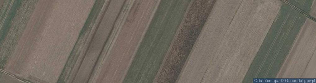 Zdjęcie satelitarne Wiejska ul.