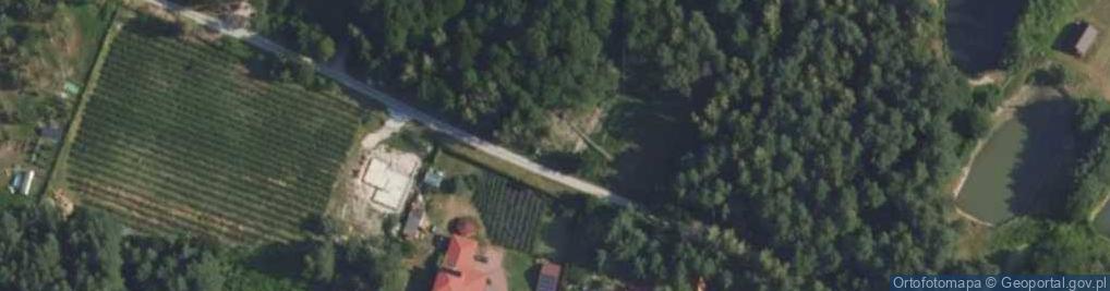 Zdjęcie satelitarne Wierzbowa ul.
