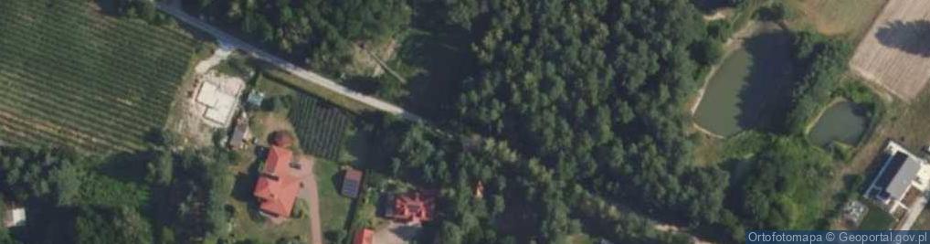 Zdjęcie satelitarne Wierzbowa ul.
