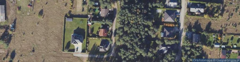 Zdjęcie satelitarne Wilcza ul.