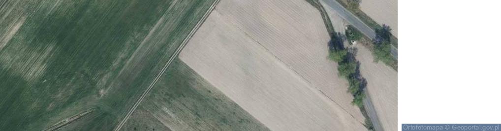 Zdjęcie satelitarne Wisznicka ul.