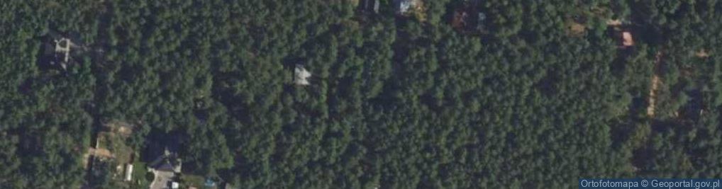 Zdjęcie satelitarne Wilgi ul.