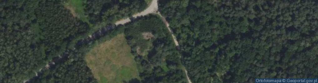 Zdjęcie satelitarne Wiklinowa ul.