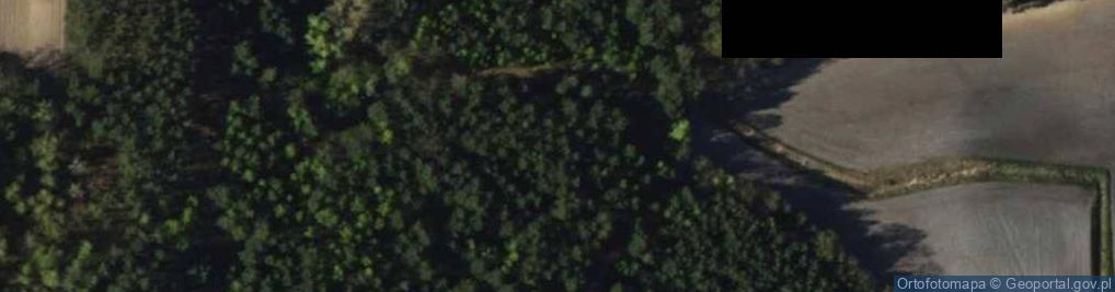 Zdjęcie satelitarne Wieluńska ul.