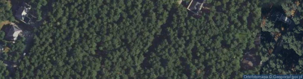 Zdjęcie satelitarne Wiązowa ul.