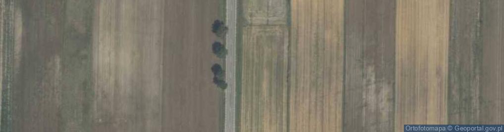 Zdjęcie satelitarne Wierzbicka ul.