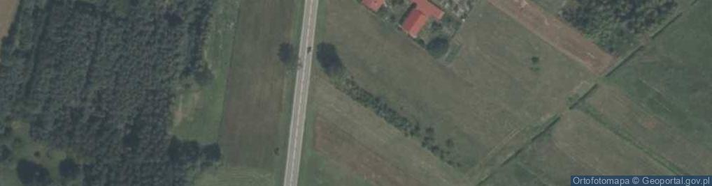 Zdjęcie satelitarne Wierzbicka ul.