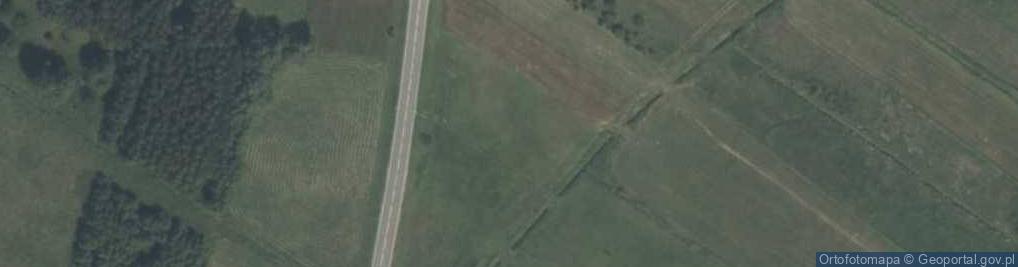Zdjęcie satelitarne Wierzbicka ul.