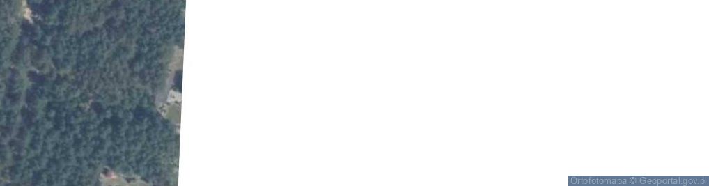 Zdjęcie satelitarne Witosa Wincentego ul.