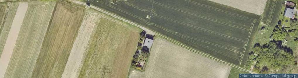 Zdjęcie satelitarne Wierzbowa ul.