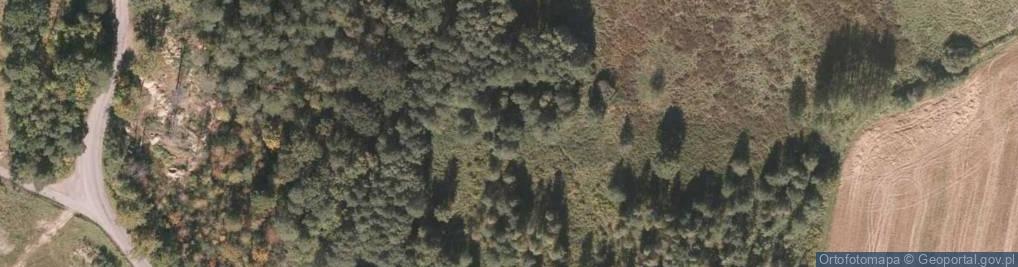 Zdjęcie satelitarne Witka ul.