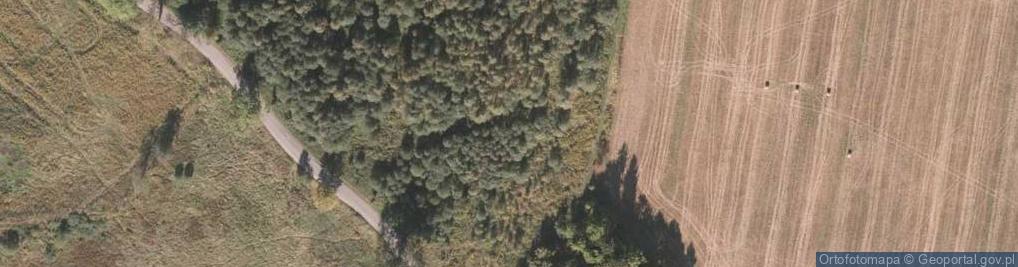 Zdjęcie satelitarne Witka ul.