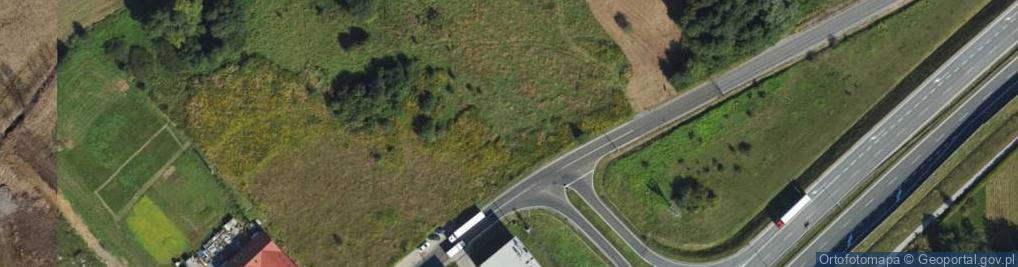 Zdjęcie satelitarne Willowa ul.