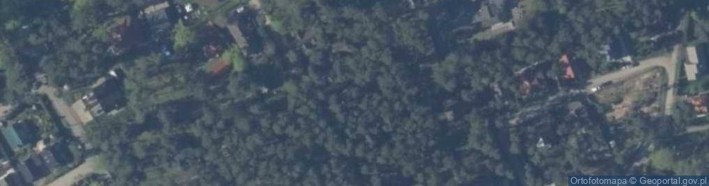 Zdjęcie satelitarne Wilgi ul.