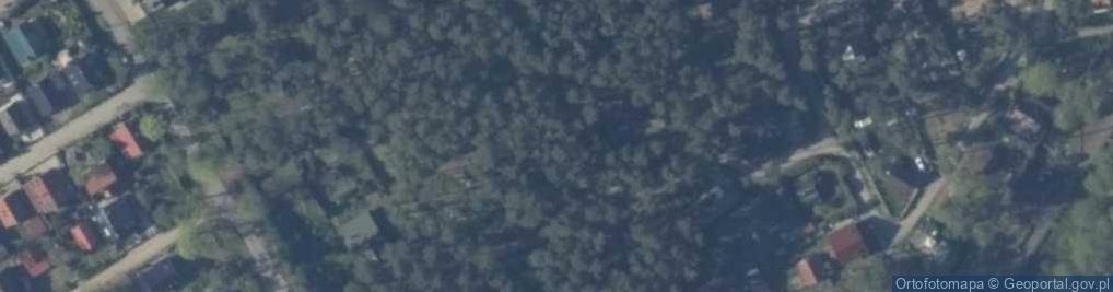 Zdjęcie satelitarne Wilgi ul.