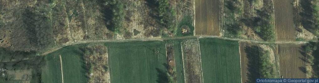 Zdjęcie satelitarne Wierzpole ul.