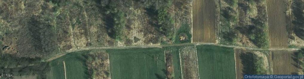 Zdjęcie satelitarne Wierzpole ul.