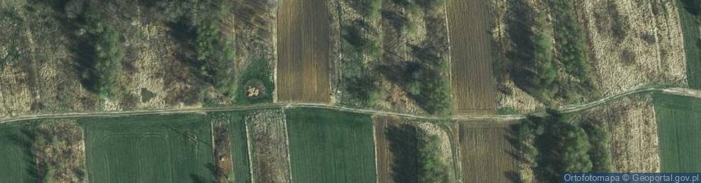 Zdjęcie satelitarne Wierzpole ul.