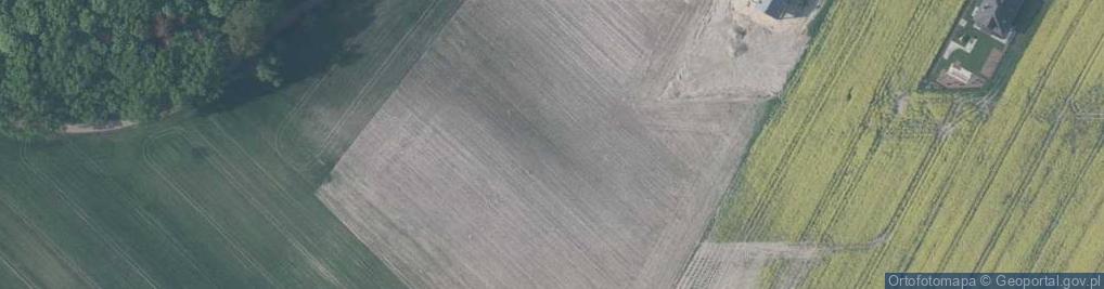 Zdjęcie satelitarne Widokowa ul.