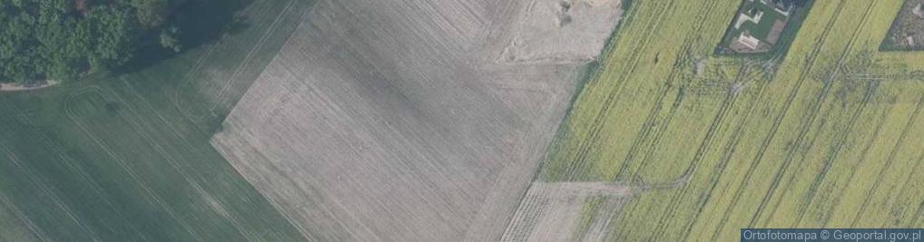 Zdjęcie satelitarne Widokowa ul.