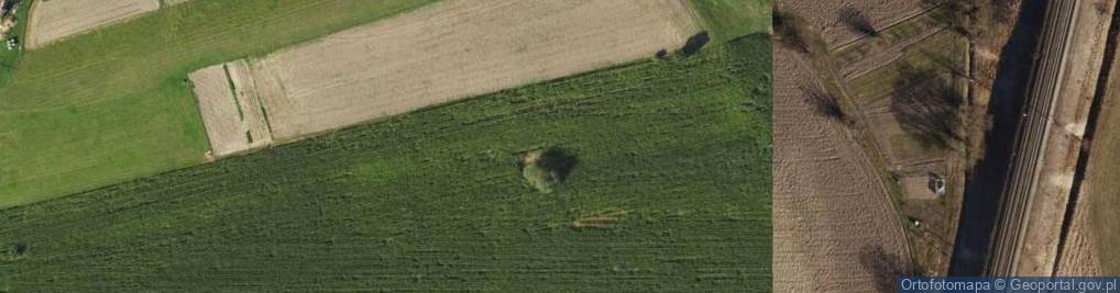 Zdjęcie satelitarne Wiosenna ul.