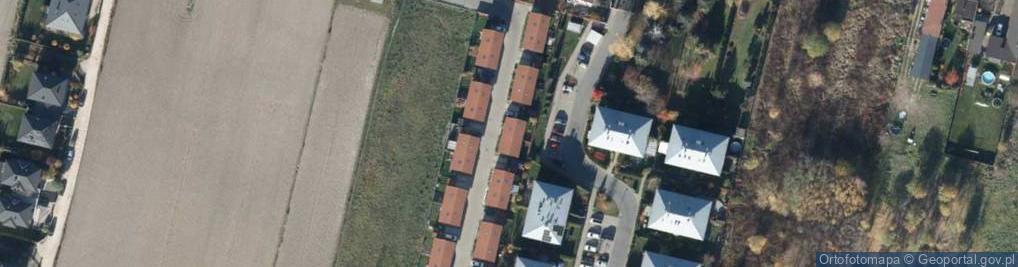 Zdjęcie satelitarne Winogronowa ul.