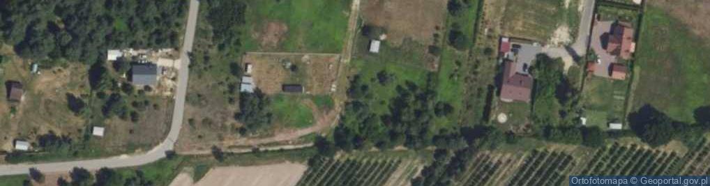 Zdjęcie satelitarne Willowa ul.