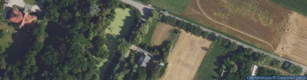 Zdjęcie satelitarne Wierzbowa ul.