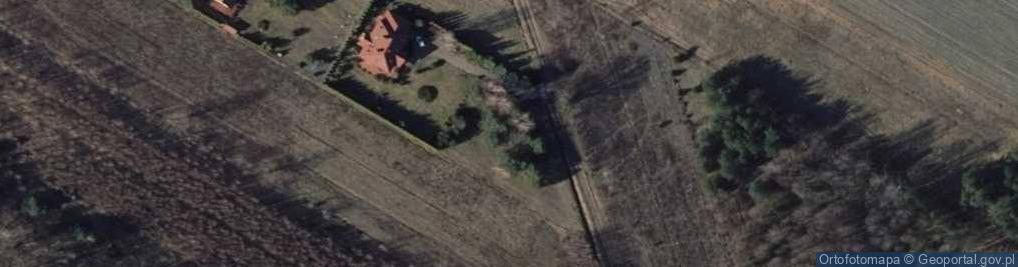 Zdjęcie satelitarne Wierzbowa ul.