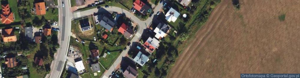 Zdjęcie satelitarne Willowa ul.