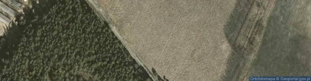 Zdjęcie satelitarne Wilcza ul.