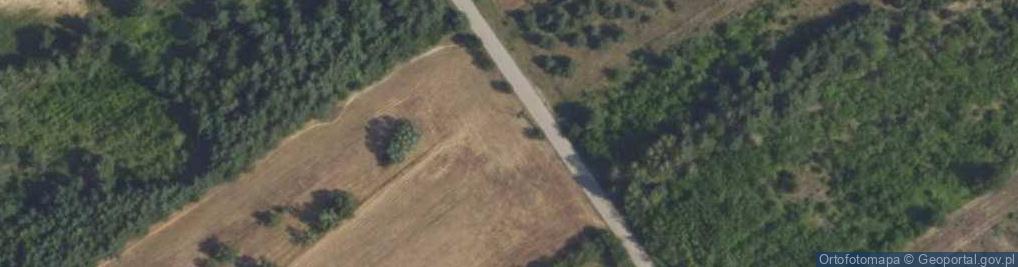 Zdjęcie satelitarne Wiejska ul.