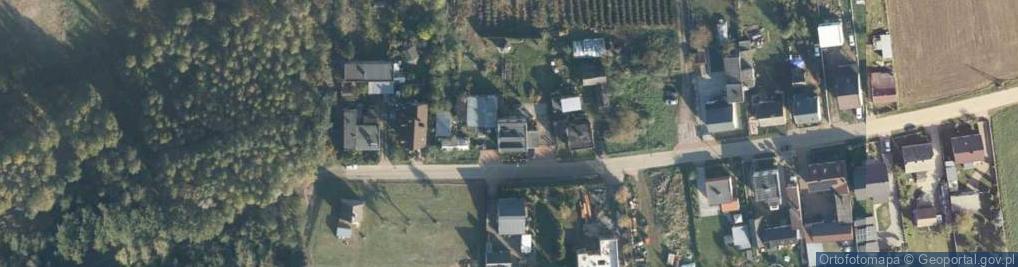 Zdjęcie satelitarne Wierzbowa ul.