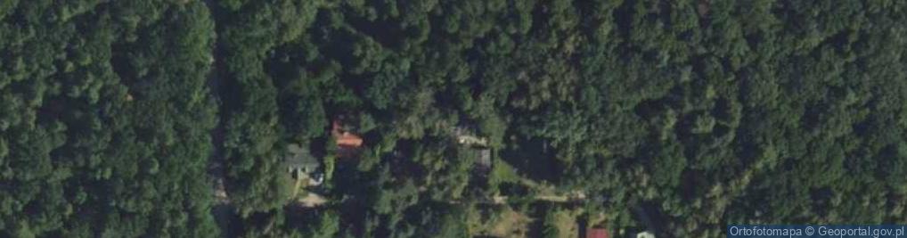 Zdjęcie satelitarne Wilcza ul.