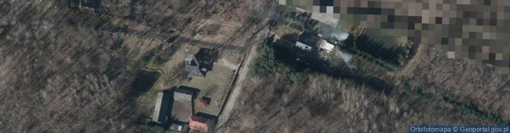 Zdjęcie satelitarne Wierzbowa ul.