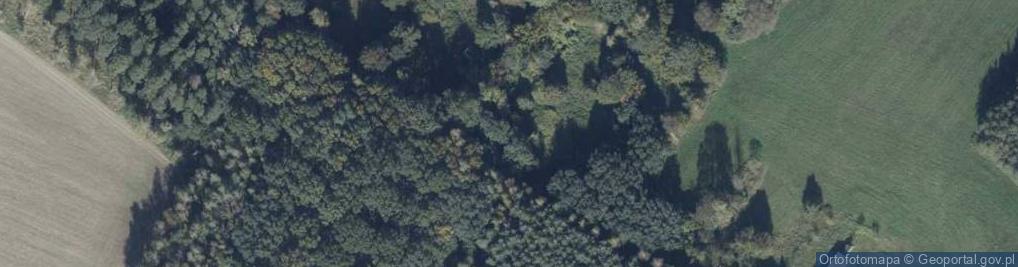 Zdjęcie satelitarne Wincentowo ul.