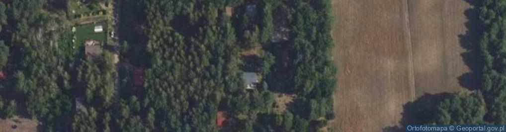 Zdjęcie satelitarne Wilgi ul.