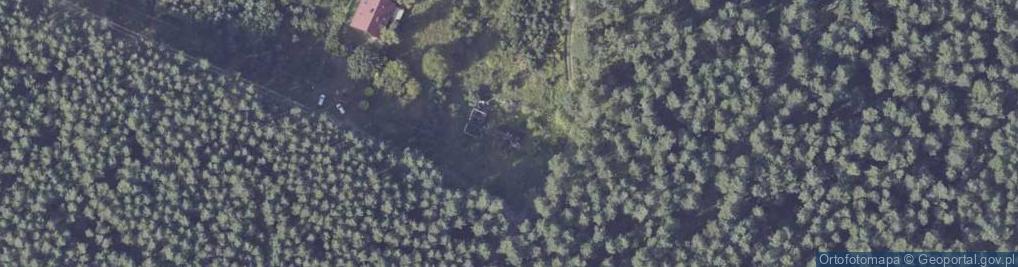 Zdjęcie satelitarne Wilcza ul.