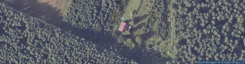 Zdjęcie satelitarne Wilcza ul.